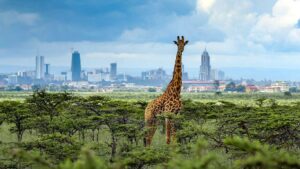 Read more about the article Best and Worst Time to Visit Nairobi: A Comprehensive Guide