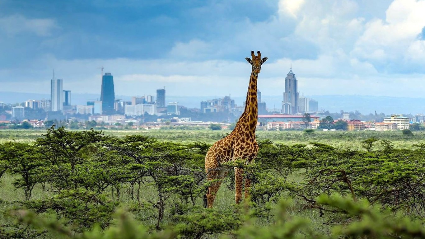 You are currently viewing Best and Worst Time to Visit Nairobi: A Comprehensive Guide